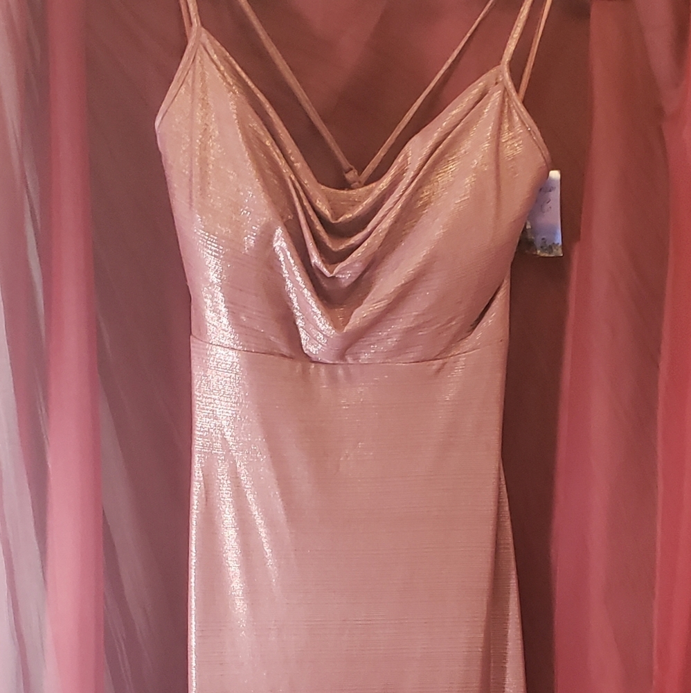 Morgan & Co dress